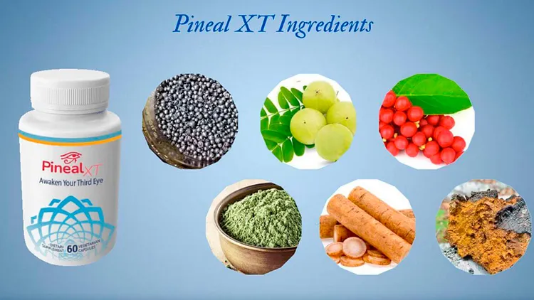 pineal-xt-reviews-ingredients